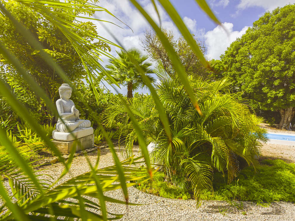 spa treatments in the zen garden